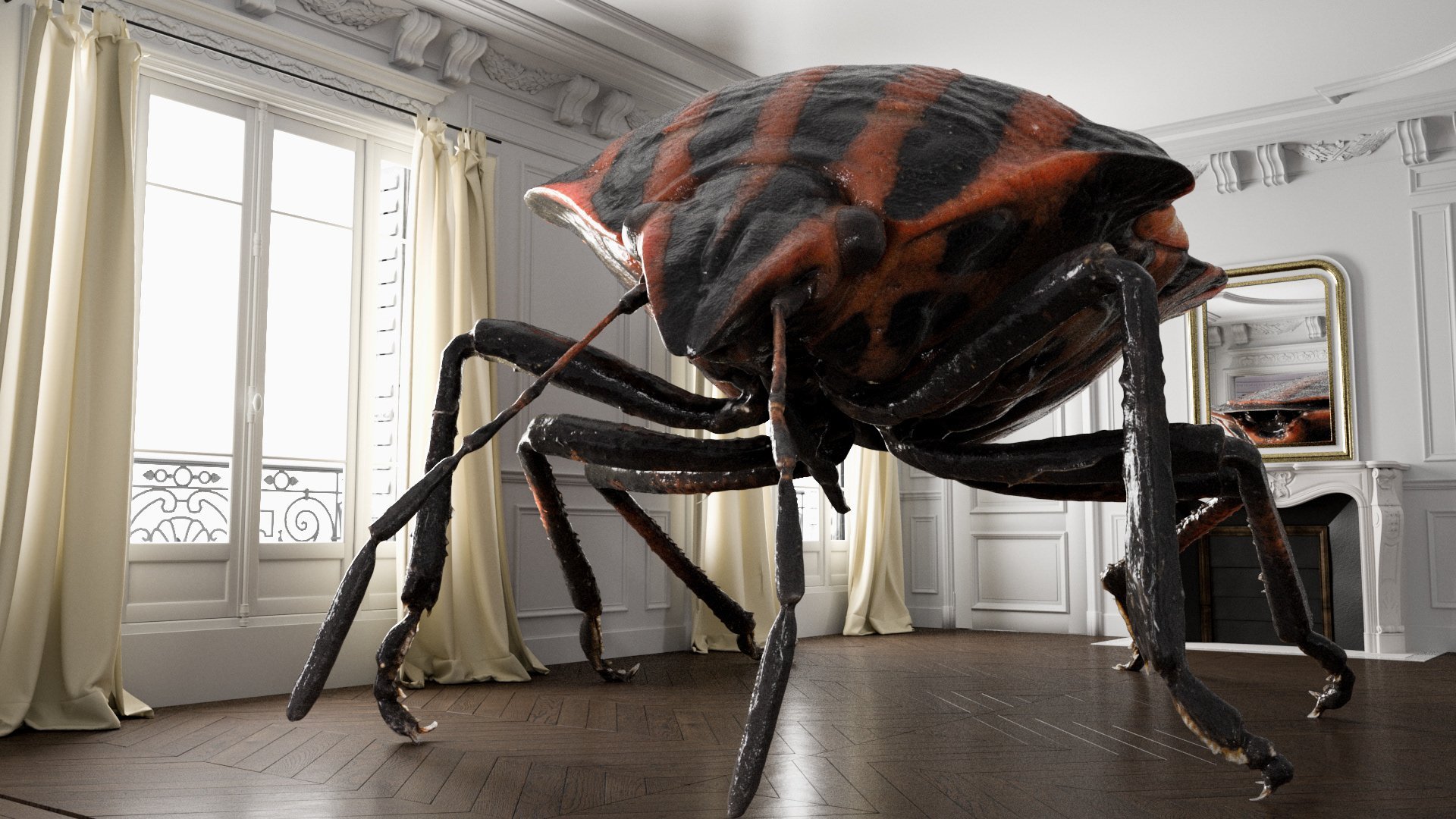 самые большие пауки в мире фотографии