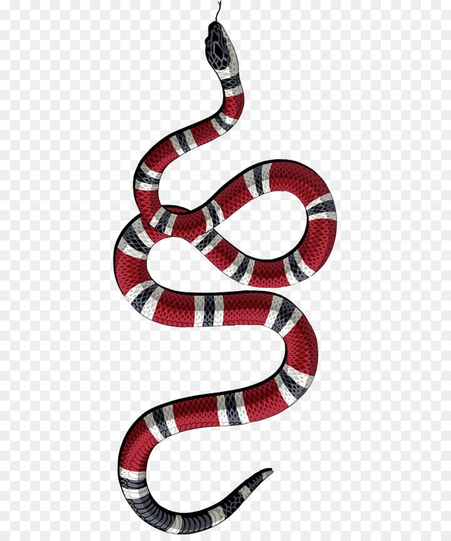 Дрессированные слоны в цирке