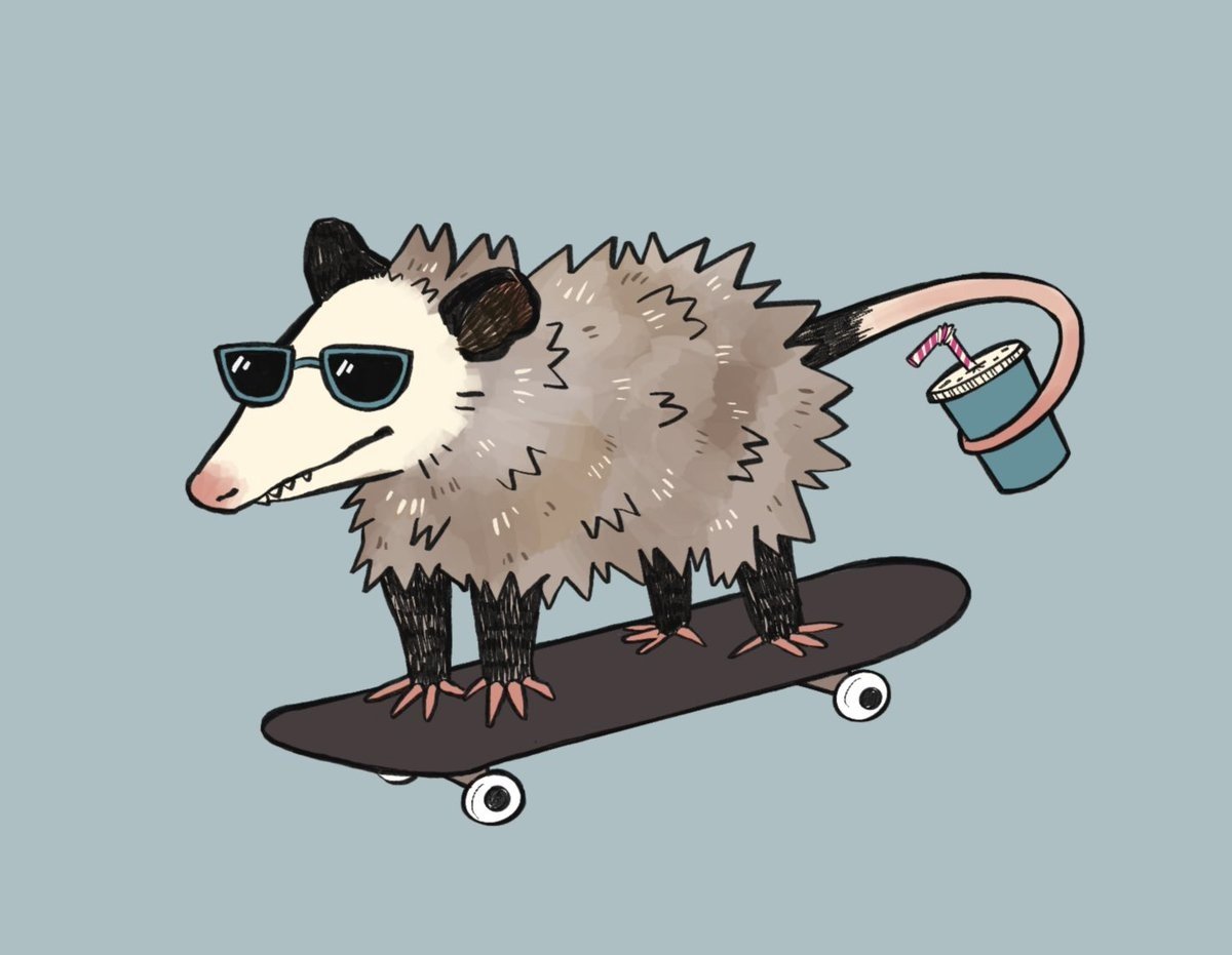 Опоссум арт