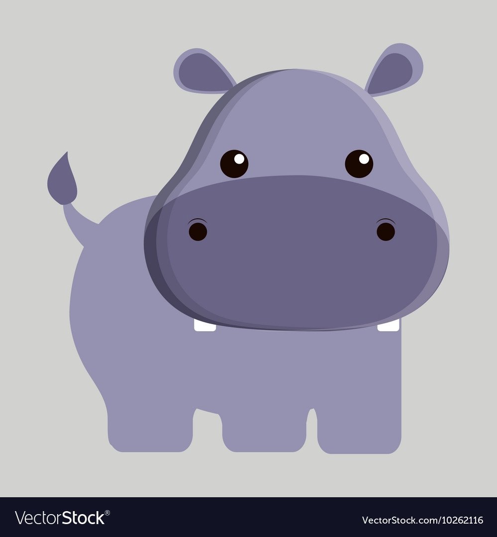 Морская Свинка Болдуин