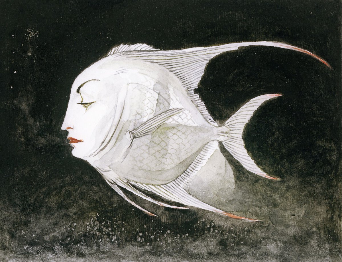 Гигантская акула-молот зубы