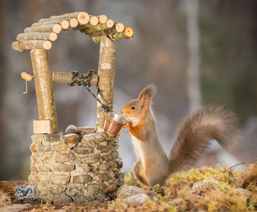 Необычные белки