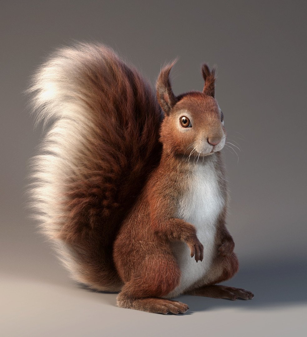 Белка фэнтези