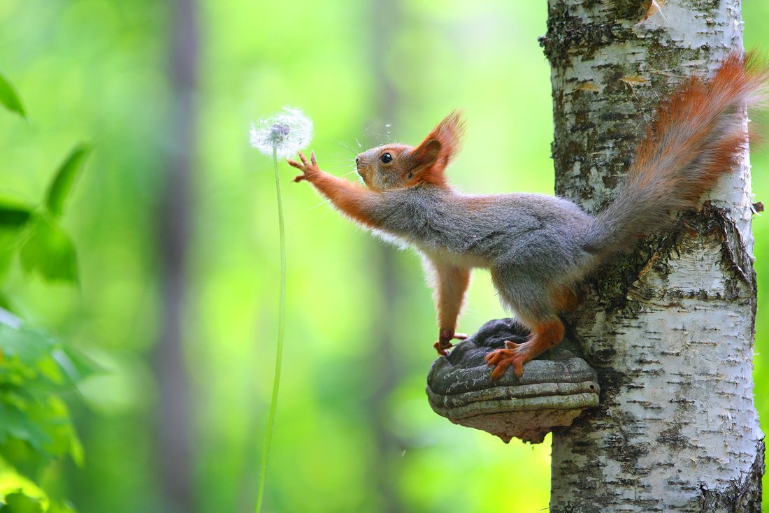 Вадим Трунов белки