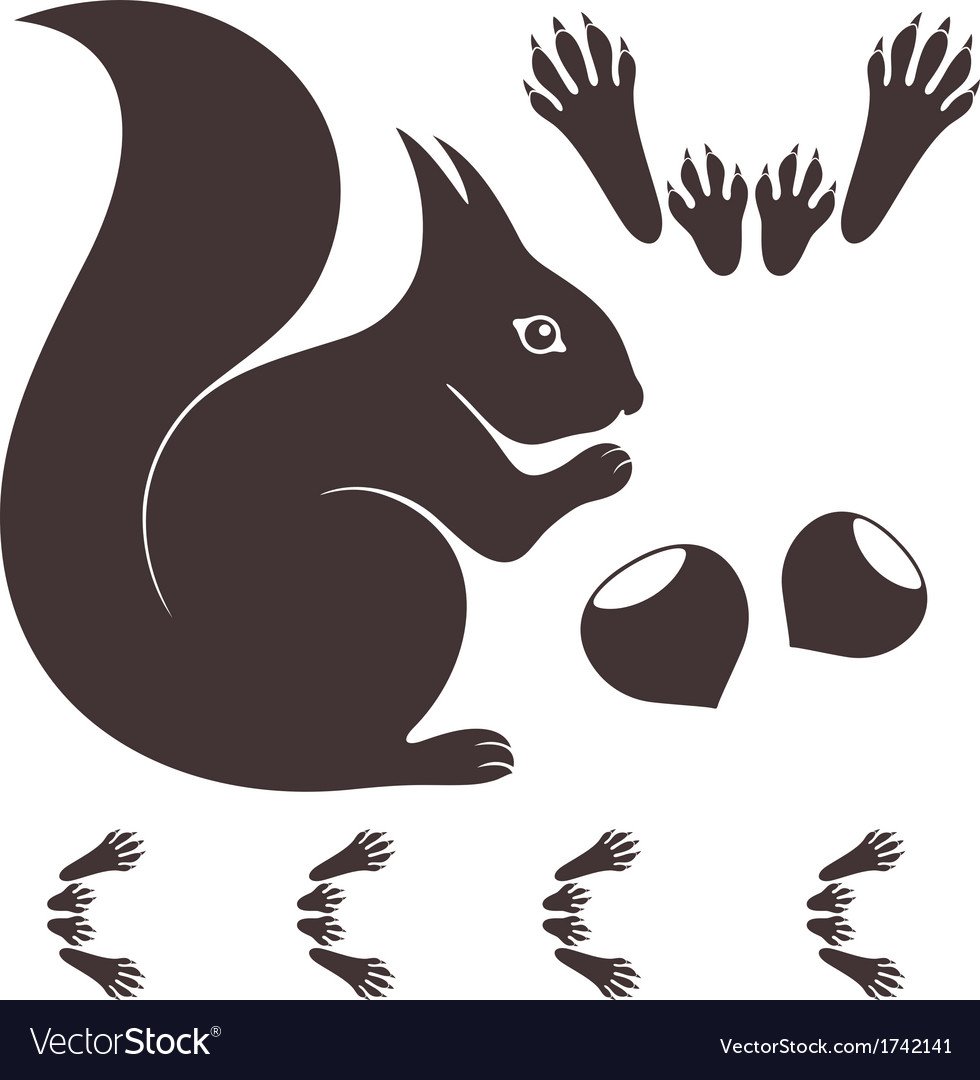 Следы белка