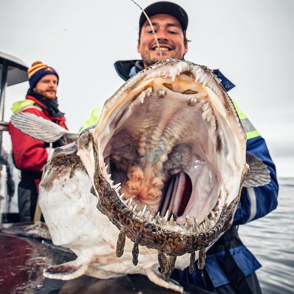 Мурманский моряк Роман Федорцов