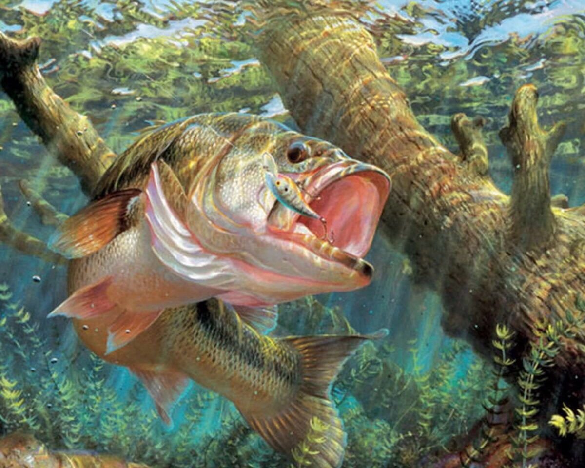 Обои рыбалка