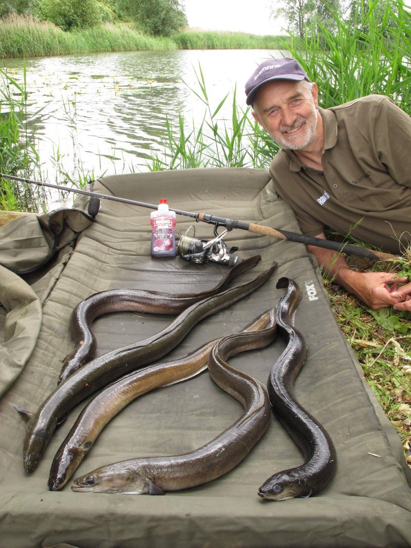 Угорь Озерный