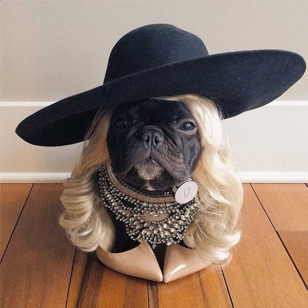 Корги жеппа