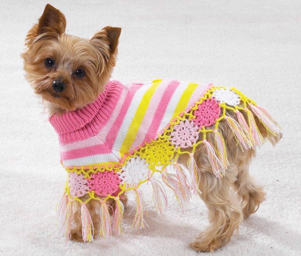 Вязаная одежда для собак