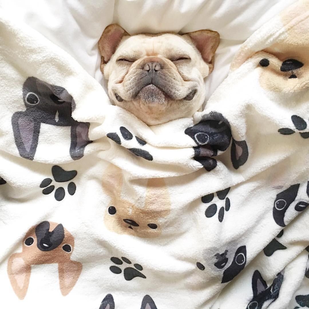 Чубася Мопс