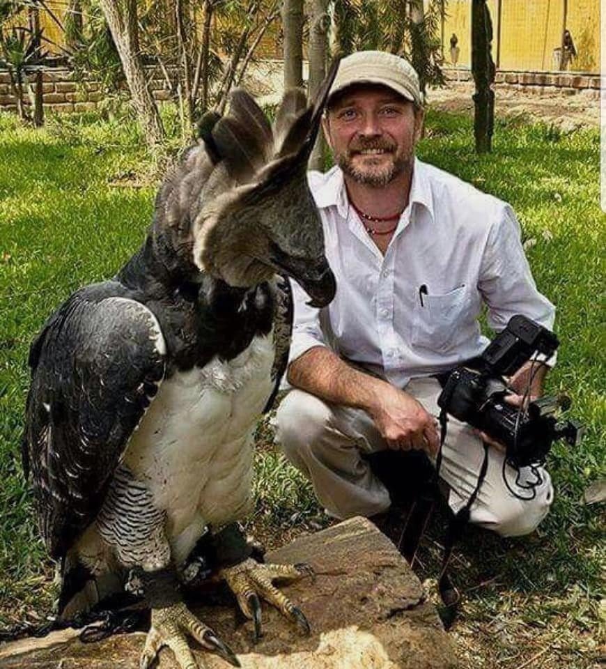 Орлан Долгохвост