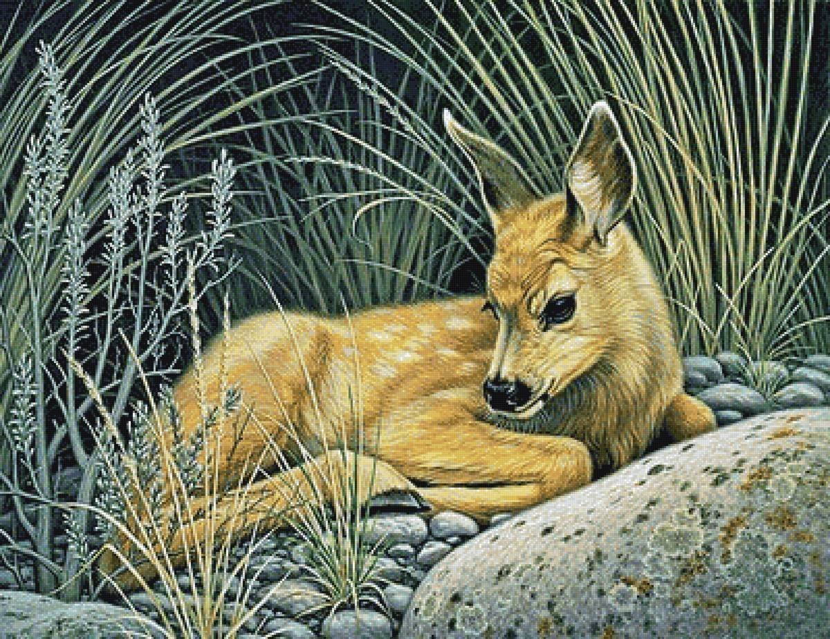 Художник - анималист Paul Krapf