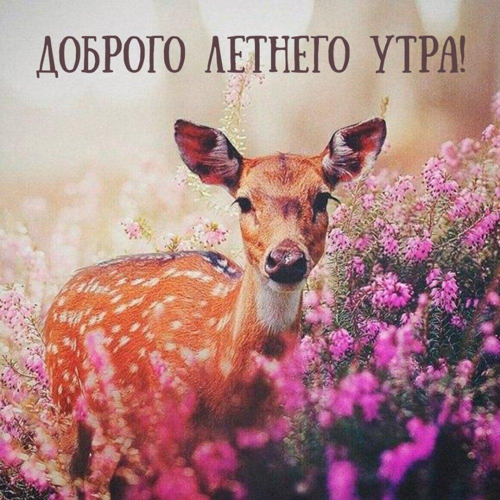 Олененок в цветах