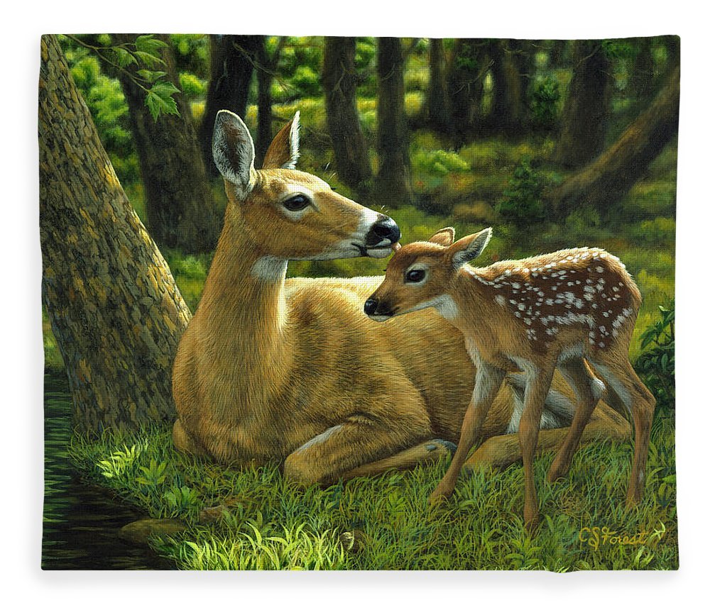 Картины с животными на природе