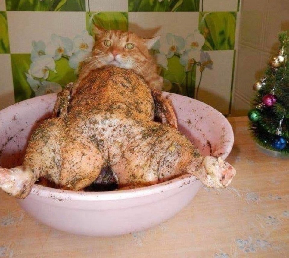 Животное в ванне