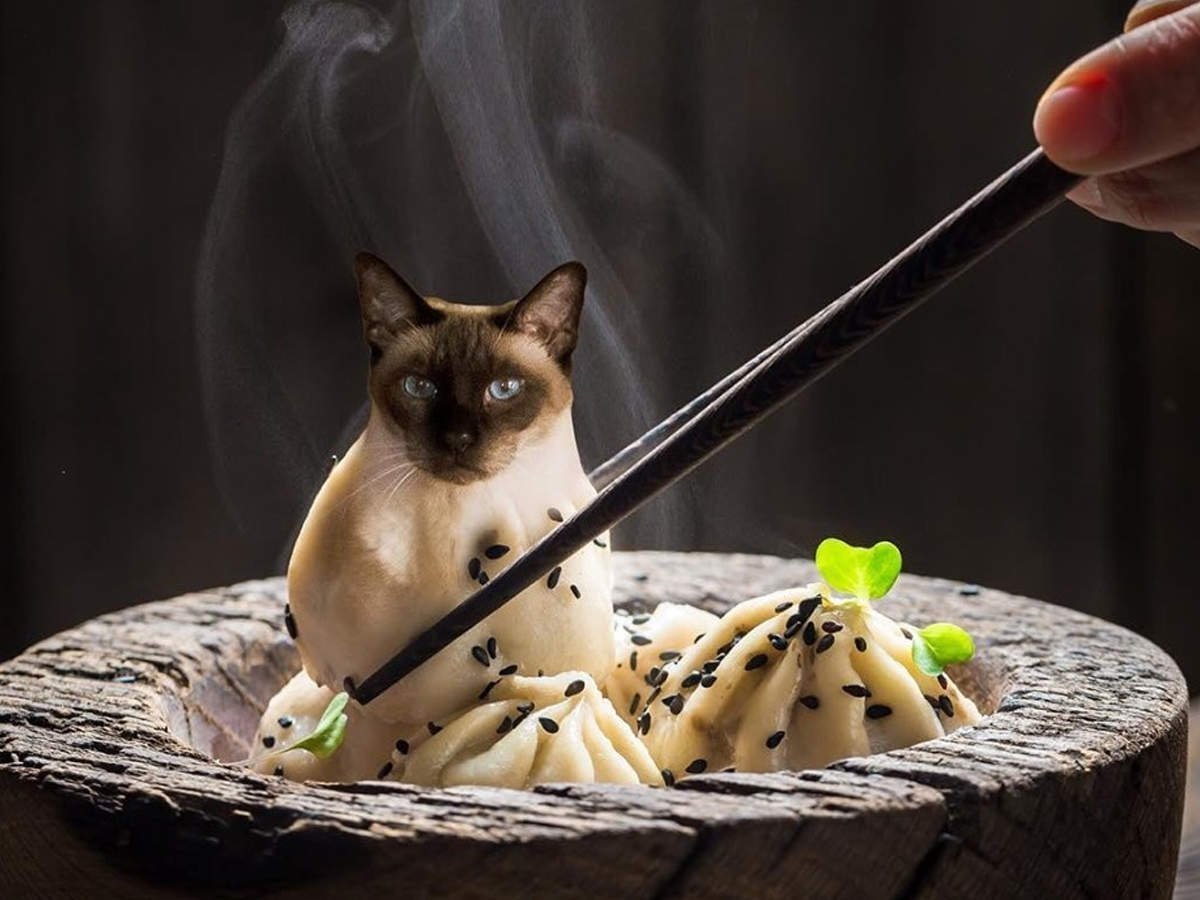 Покажи своего любимца Инстаграмм