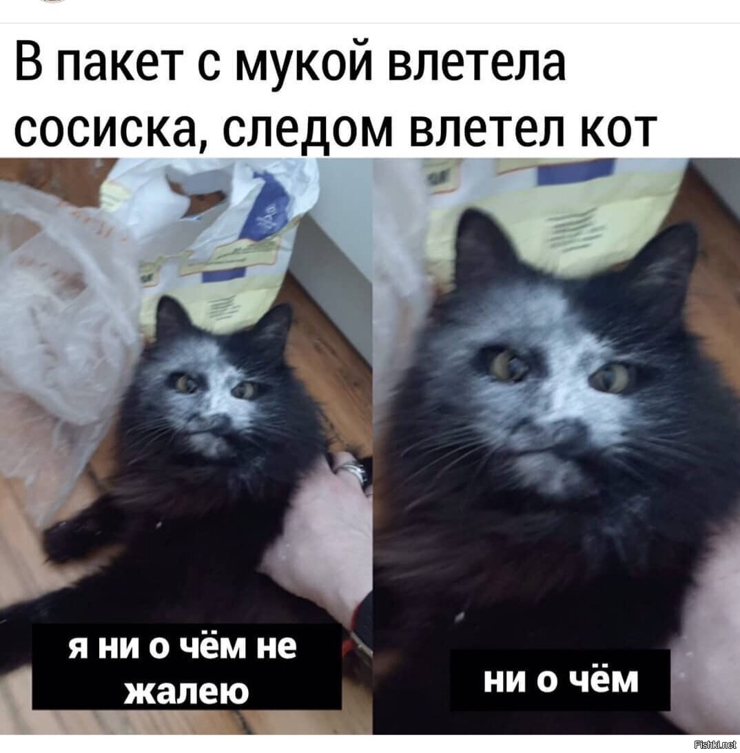 Смешные сковородки