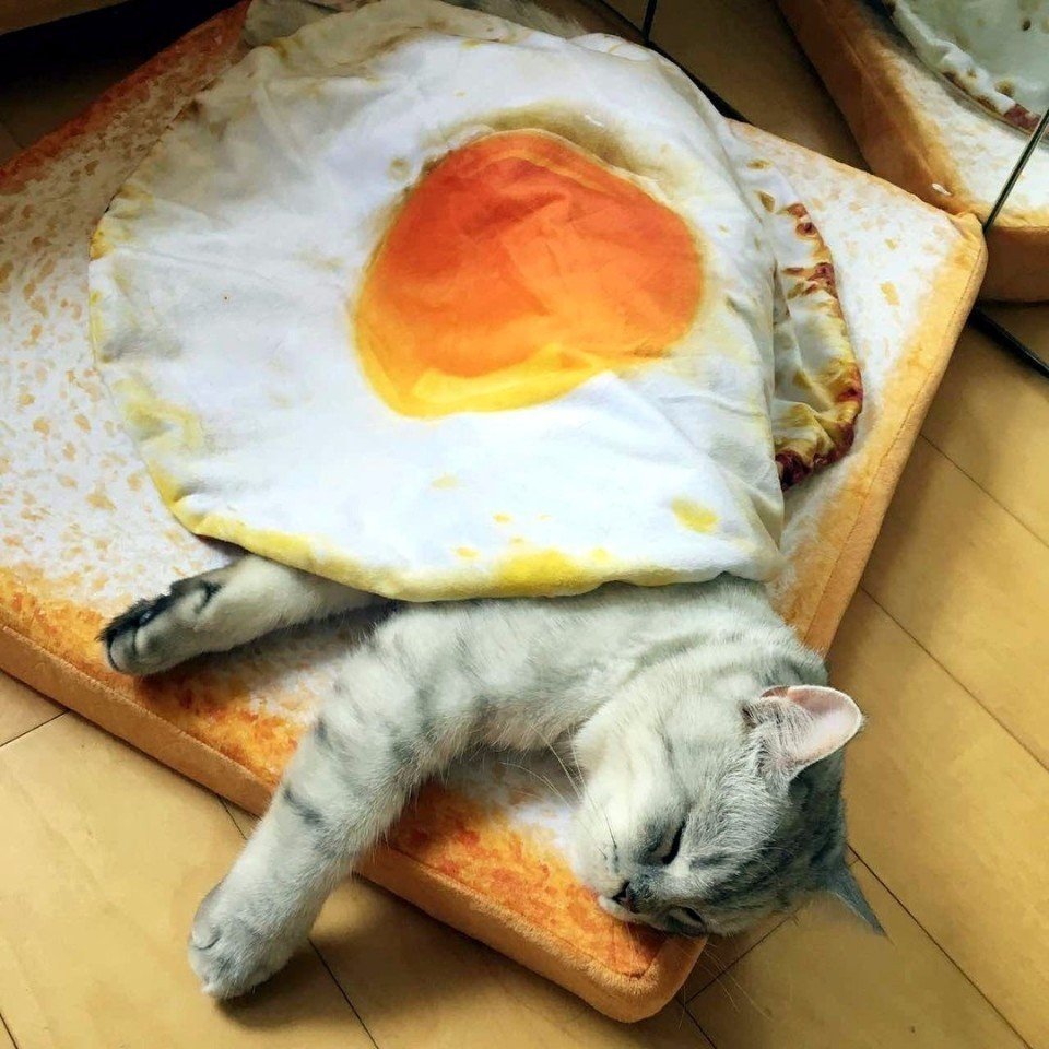 Котенок с перевязанной лапкой