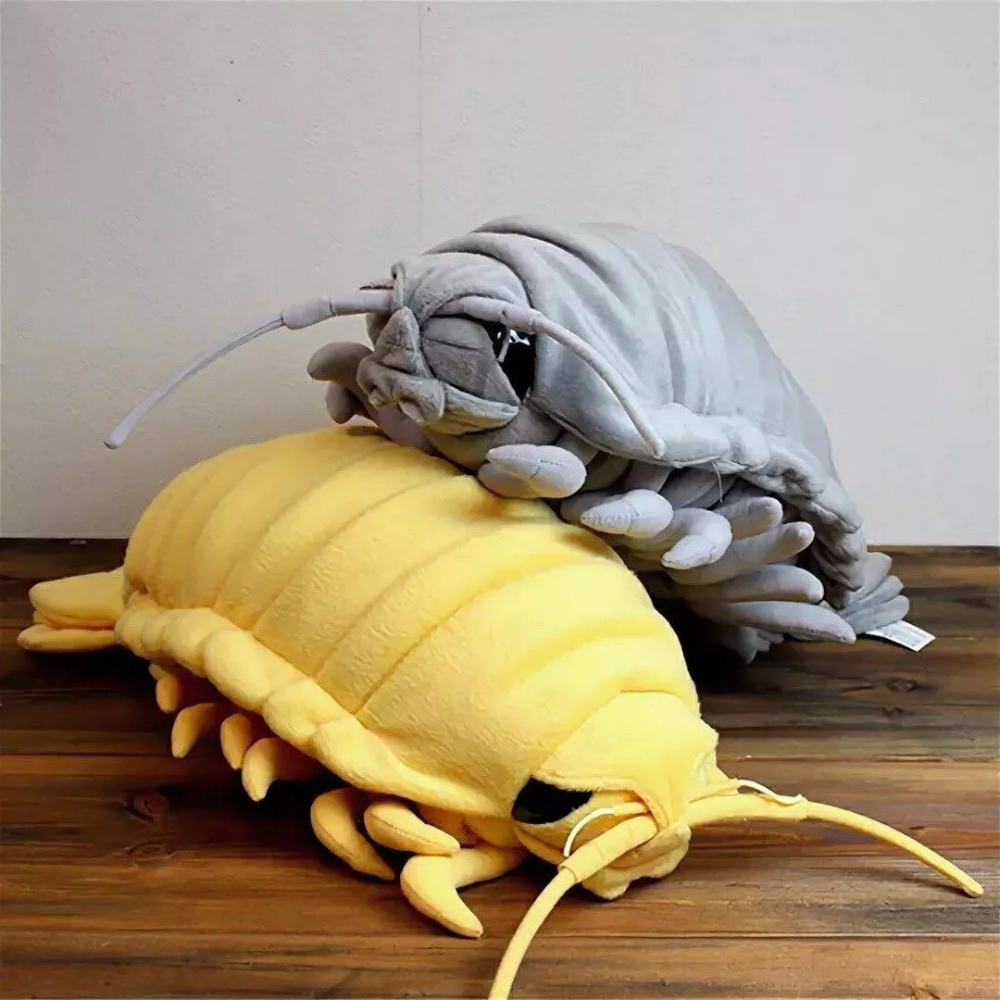 Гигантский изопод мокрица