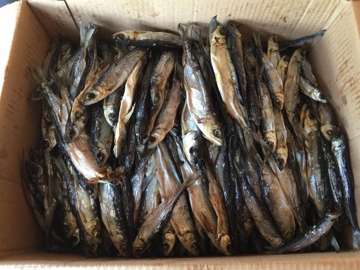 Ряпушка Онежская вяленая