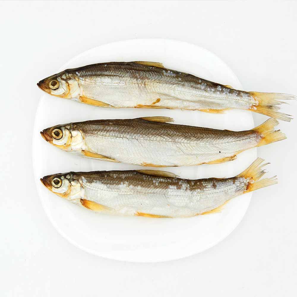 Европейская ряпушка