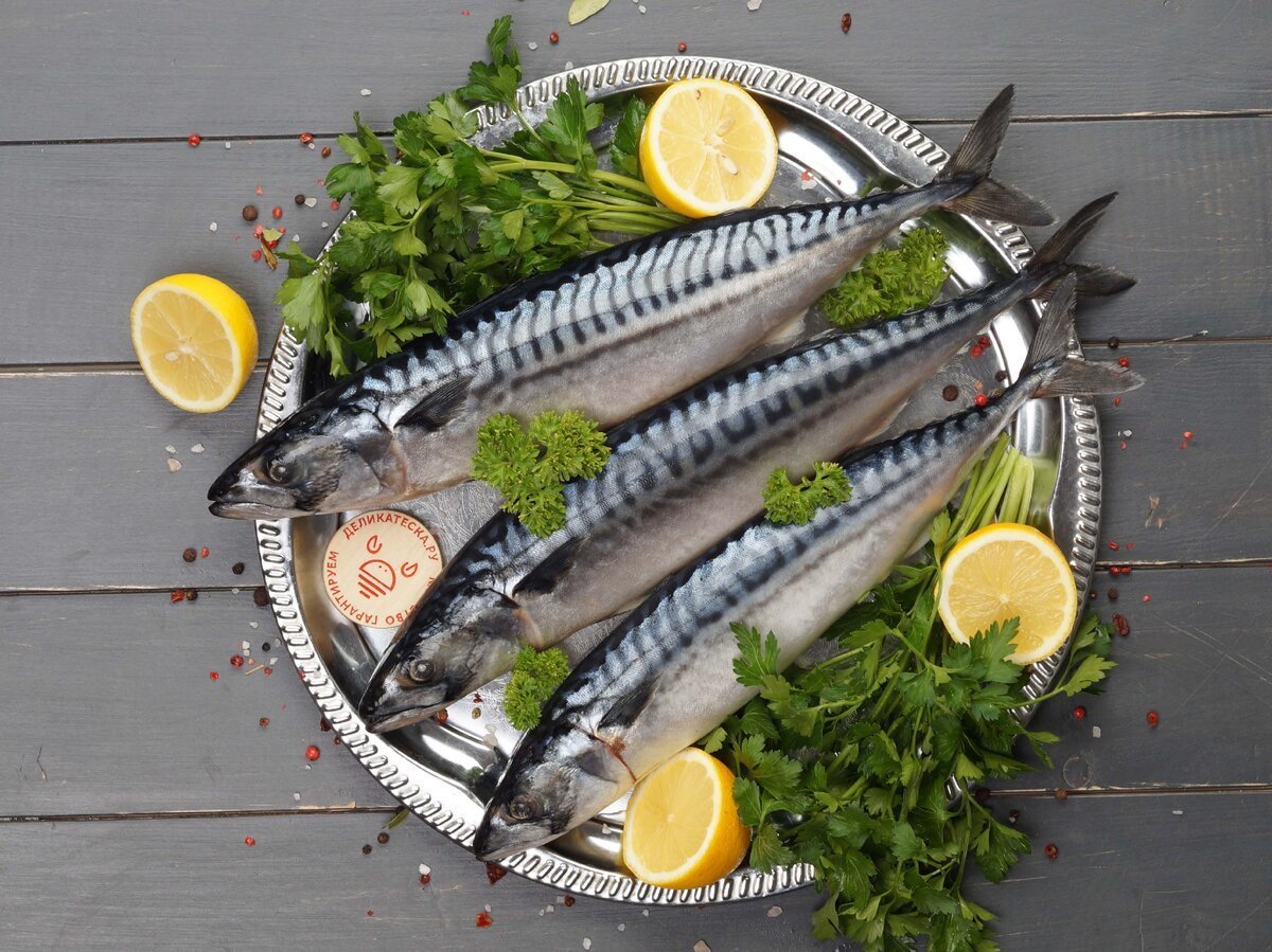 Сельдь и скумбрия