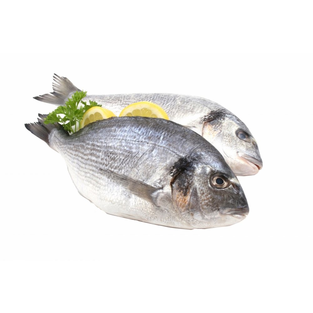 Золотистый пагр