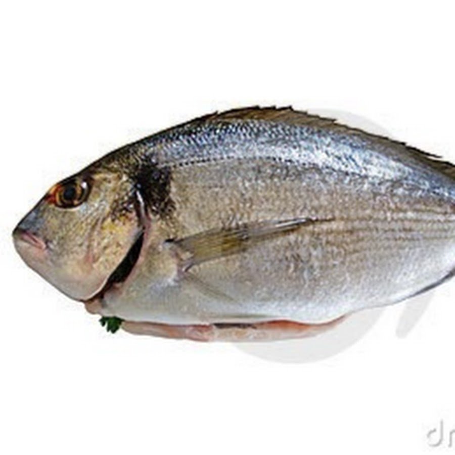 Дорадо рыба костлявая или нет