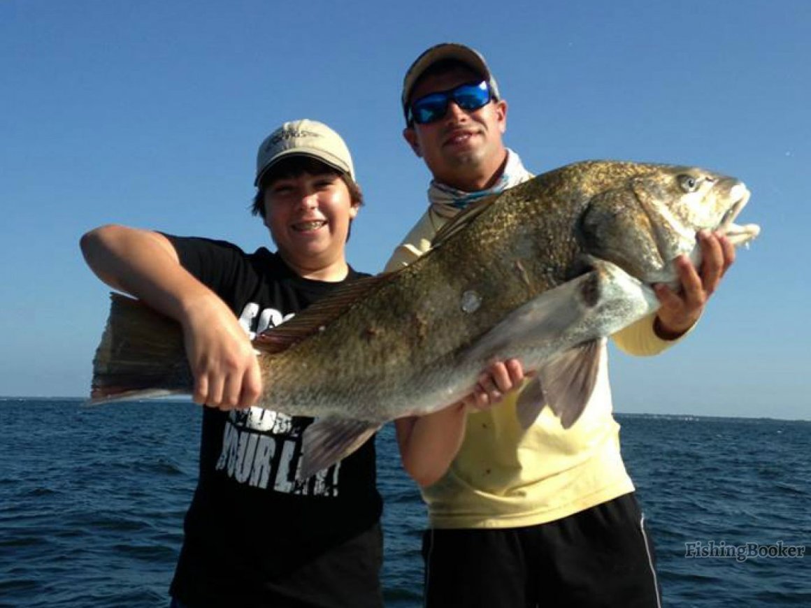 Морской карась дорадо