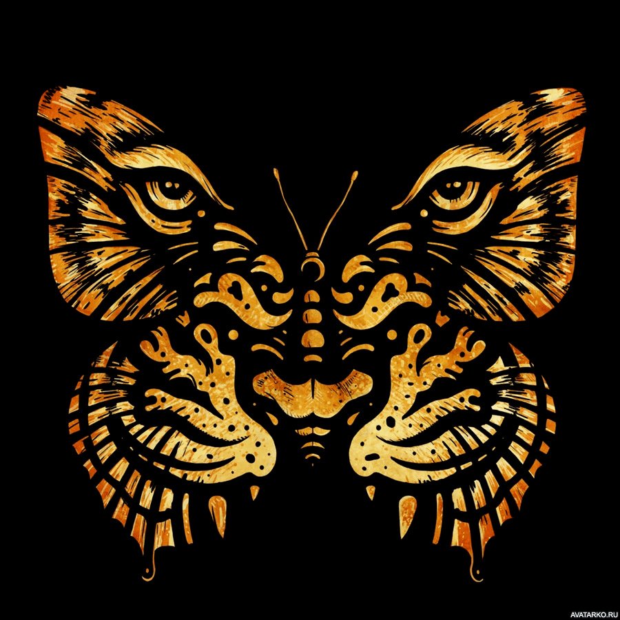 Бабочка Калиго(бабочка-Сова)
