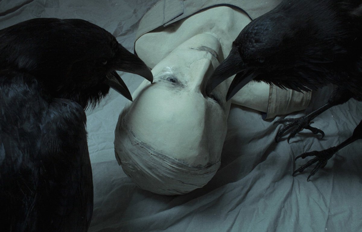 Шрамы Лаура Макабреску