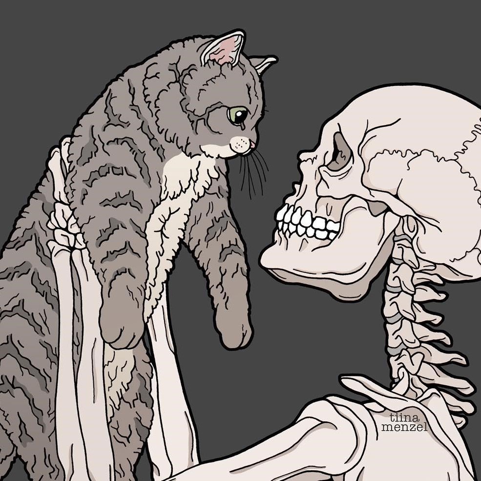 Мейн кун милый