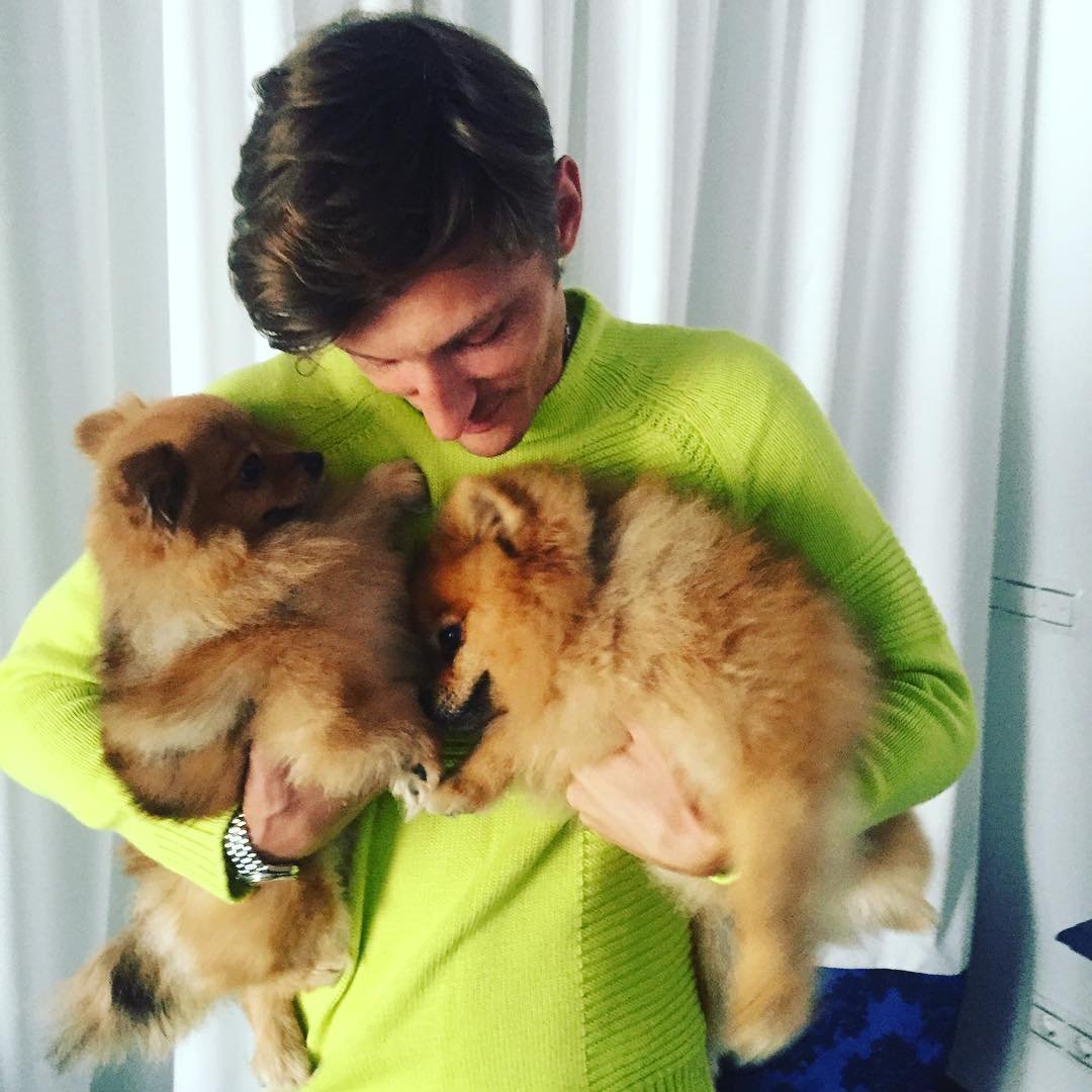 Кот Павла воли Мейн