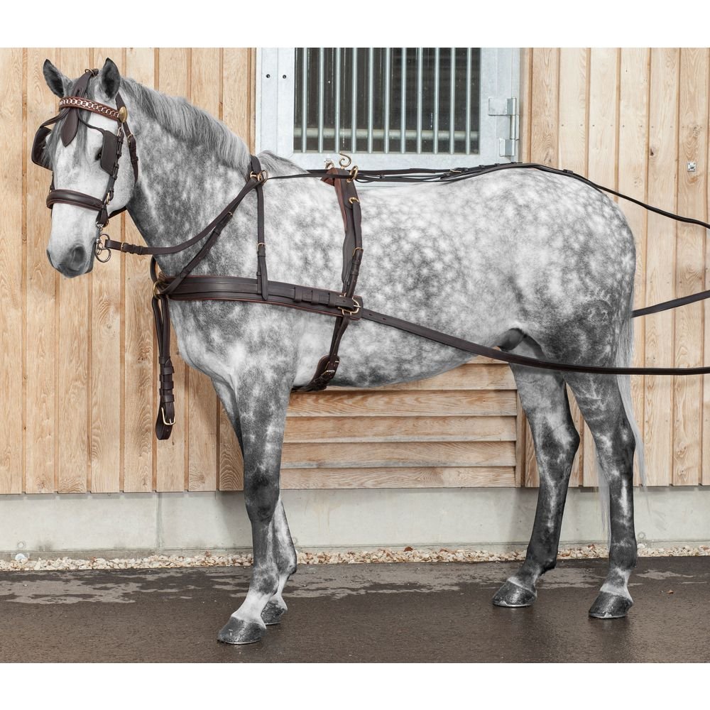 Рысистая упряжь