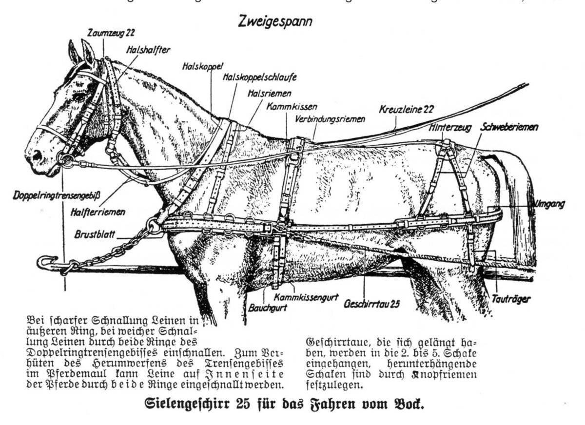 Европейская упряжь для лошади схема