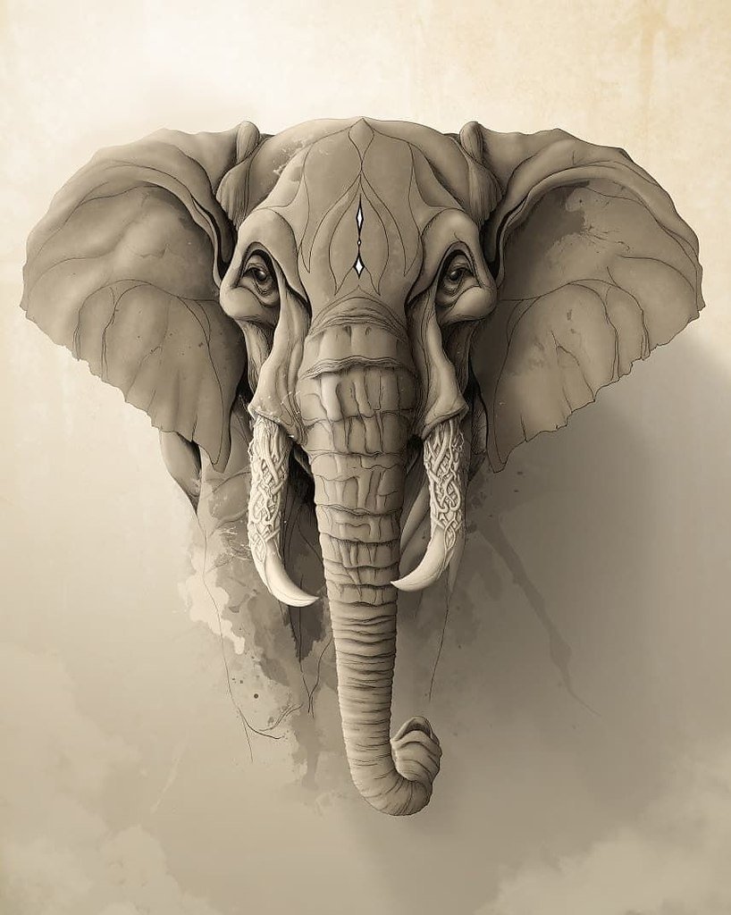 Морда слона