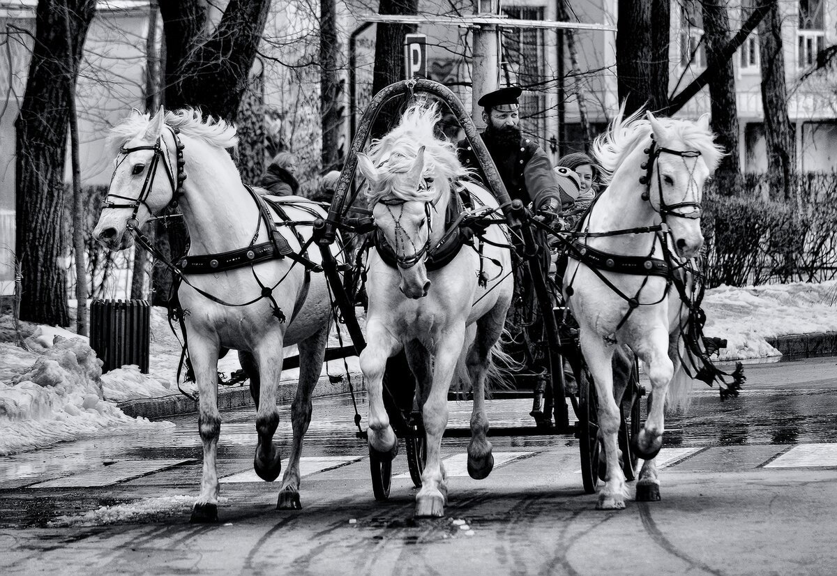 Конная упряжка тройка