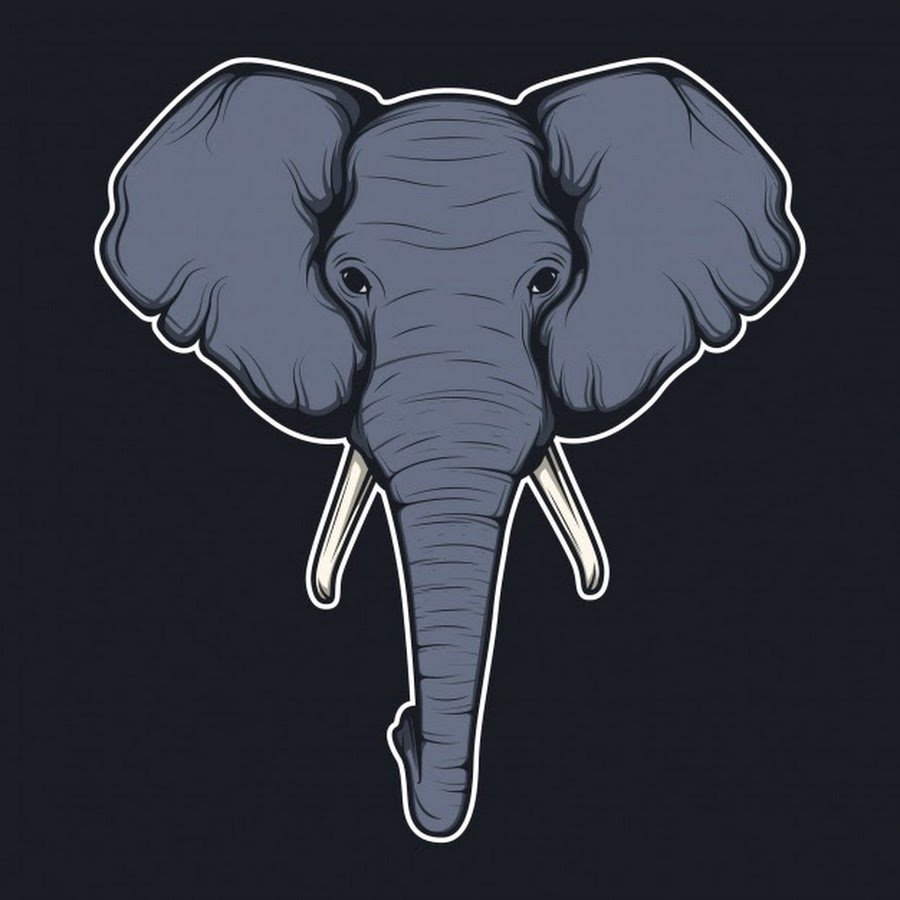 Слон на черном фоне