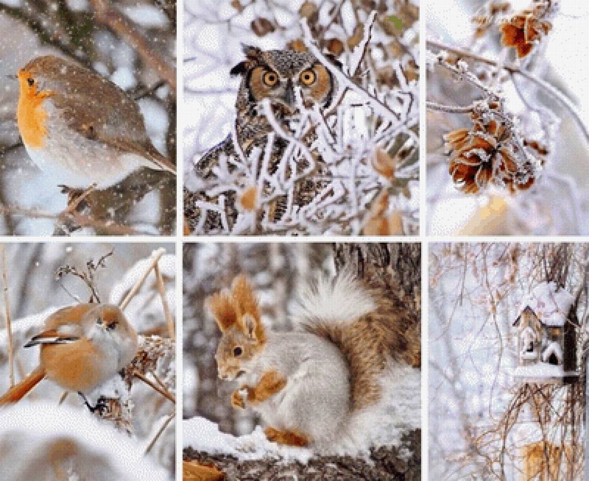 Зимний коллаж