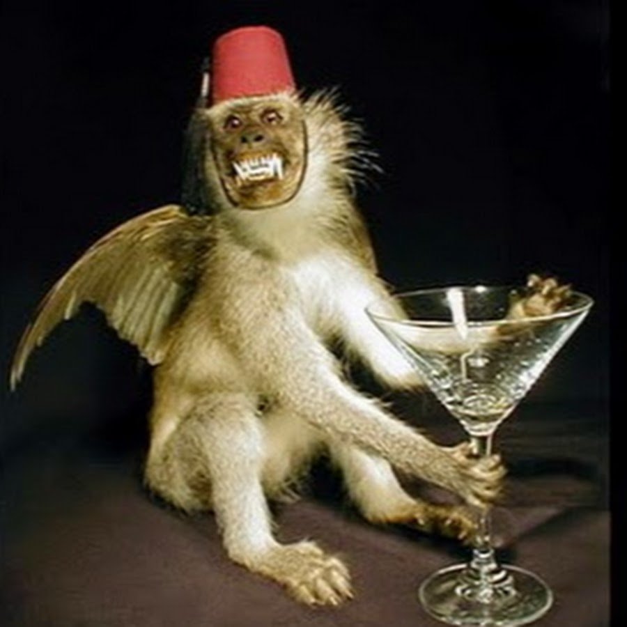Мартышка с мартини