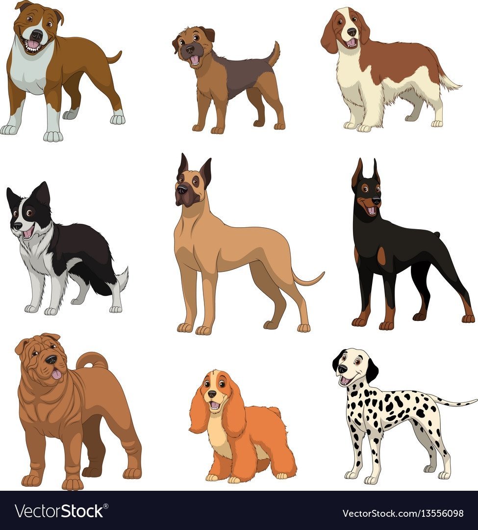 Вектор собаки разных пород