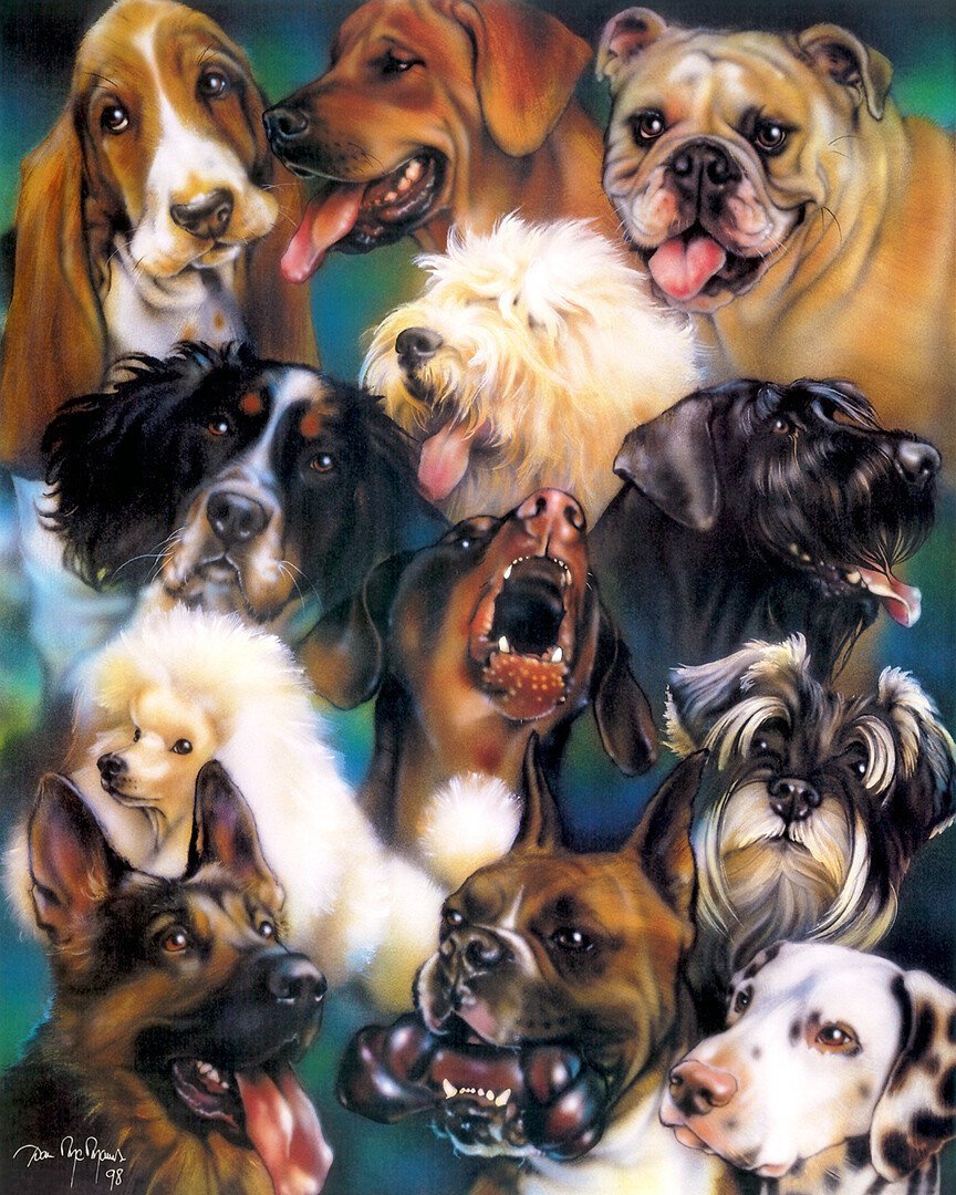 Собаки коллаж