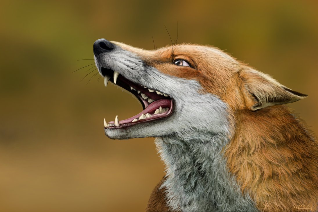 Пасть лисы