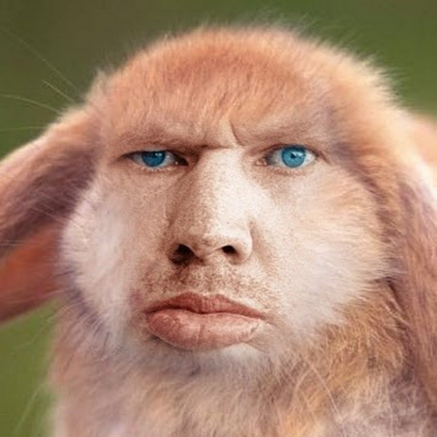 Злой кролик