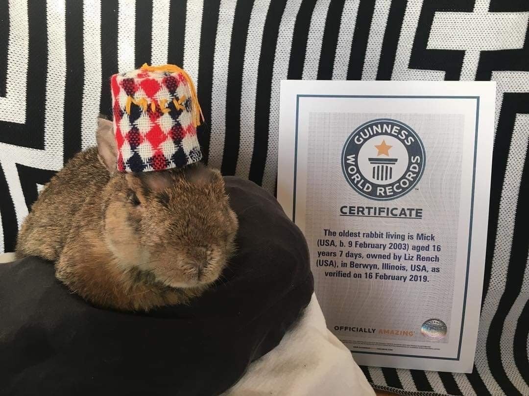 Самые большие звери