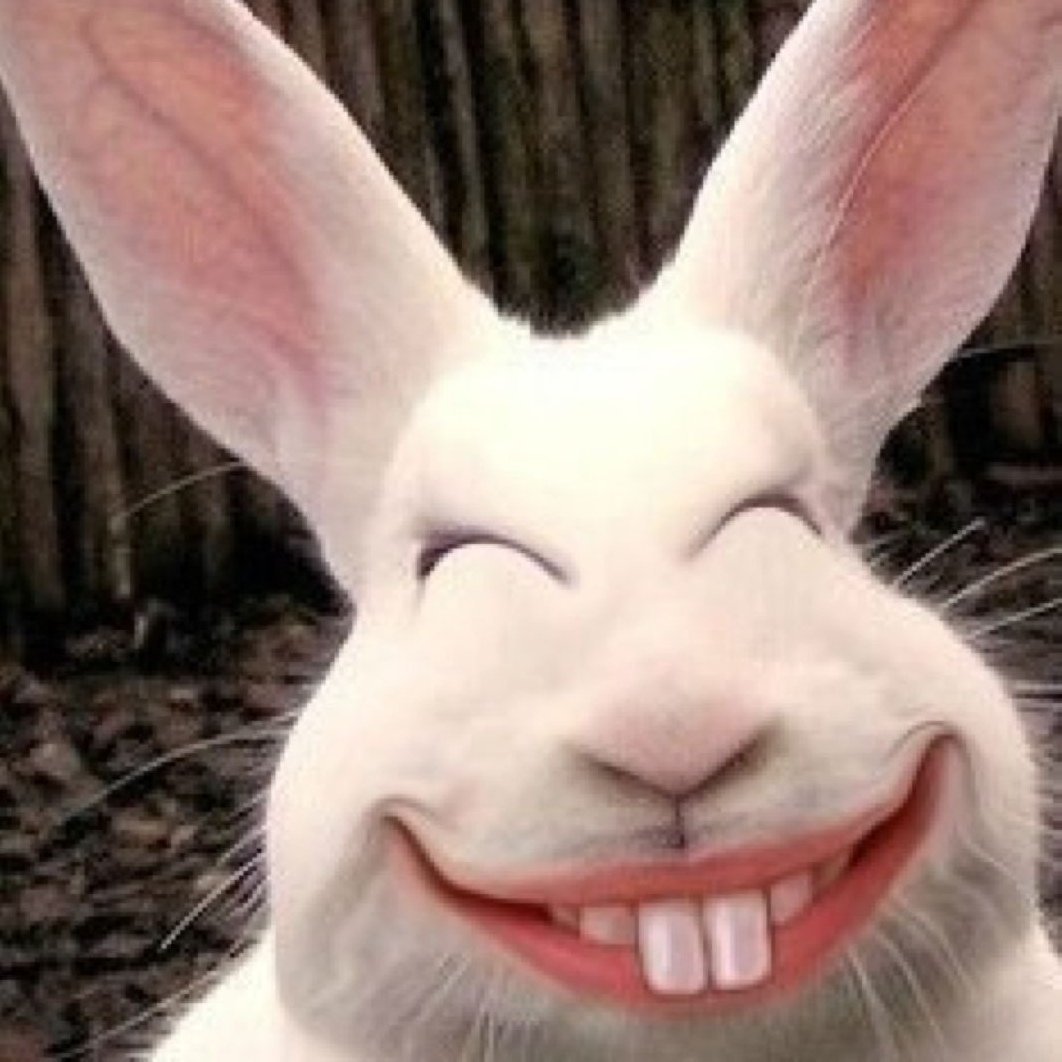 Кролик поет