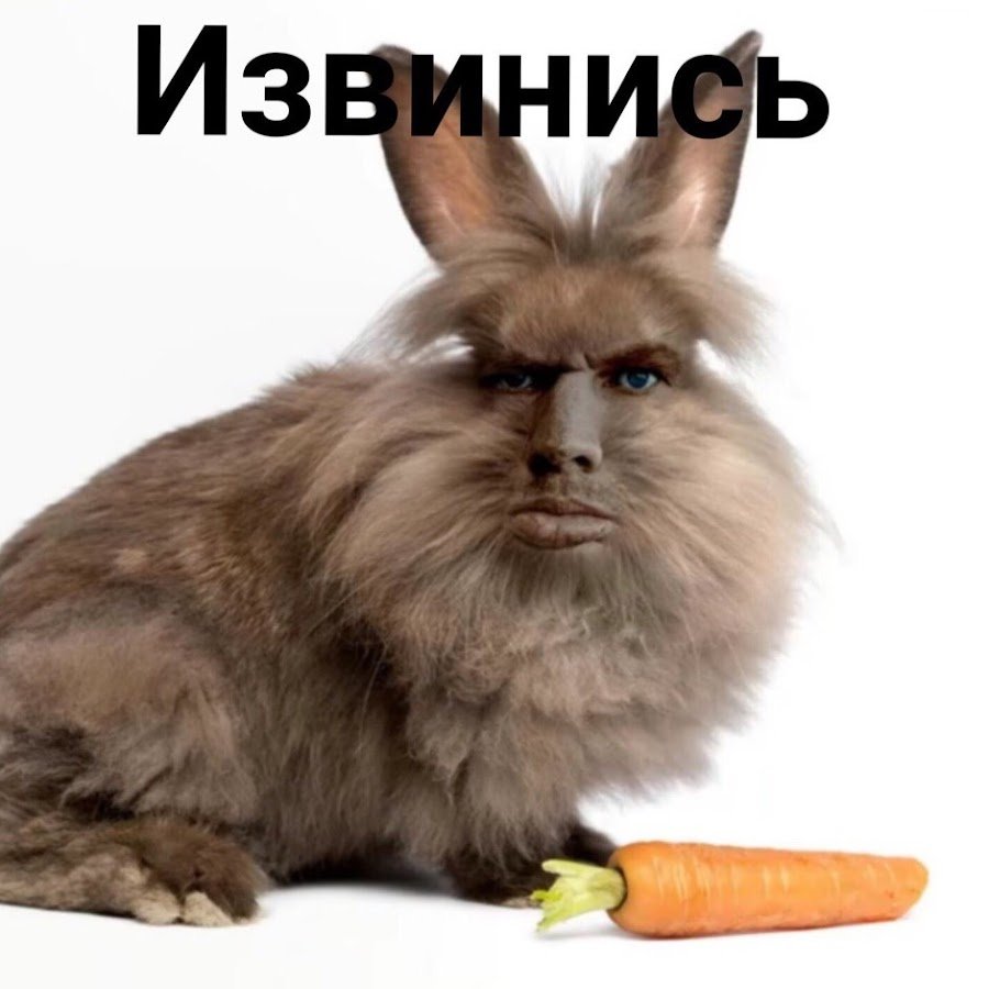 Рыжий кролик