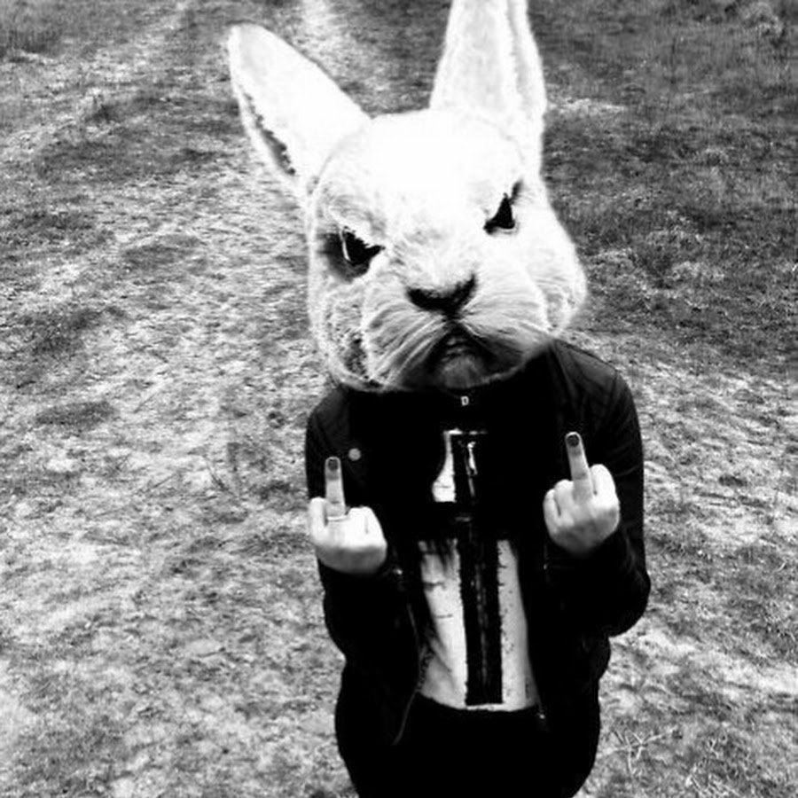 Кролик вислоухий баран коричневый