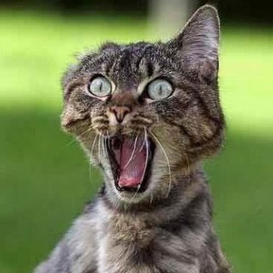 С выходом на работу после отпуска прикольные